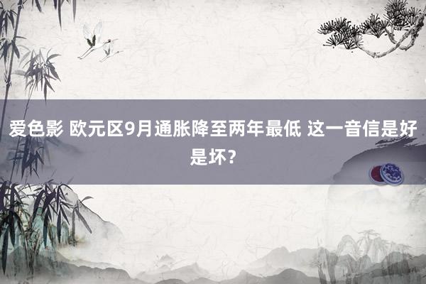 爱色影 欧元区9月通胀降至两年最低 这一音信是好是坏？
