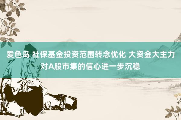爱色岛 社保基金投资范围转念优化 大资金大主力对A股市集的信心进一步沉稳