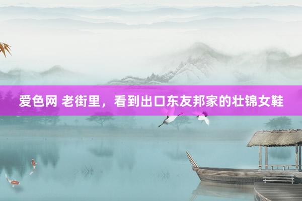 爱色网 老街里，看到出口东友邦家的壮锦女鞋