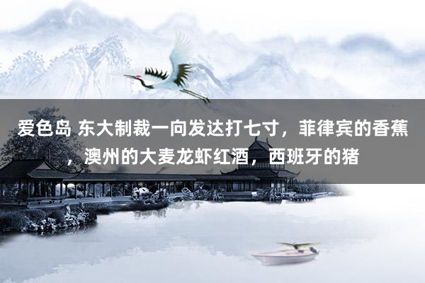 爱色岛 东大制裁一向发达打七寸，菲律宾的香蕉，澳州的大麦龙虾红酒，西班牙的猪