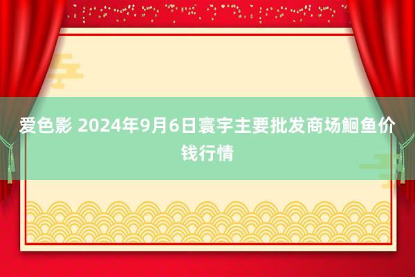 爱色影 2024年9月6日寰宇主要批发商场鮰鱼价钱行情