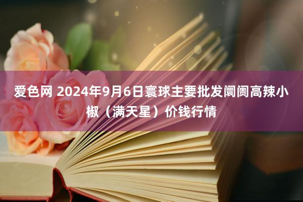 爱色网 2024年9月6日寰球主要批发阛阓高辣小椒（满天星）价钱行情
