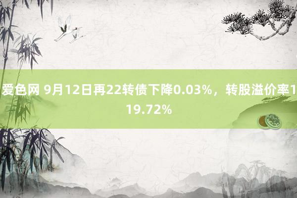 爱色网 9月12日再22转债下降0.03%，转股溢价率119.72%