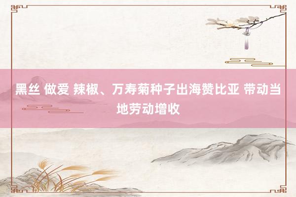 黑丝 做爱 辣椒、万寿菊种子出海赞比亚 带动当地劳动增收