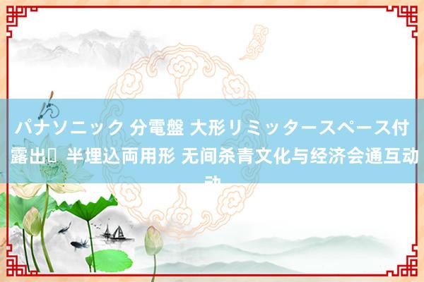 パナソニック 分電盤 大形リミッタースペース付 露出・半埋込両用形 无间杀青文化与经济会通互动