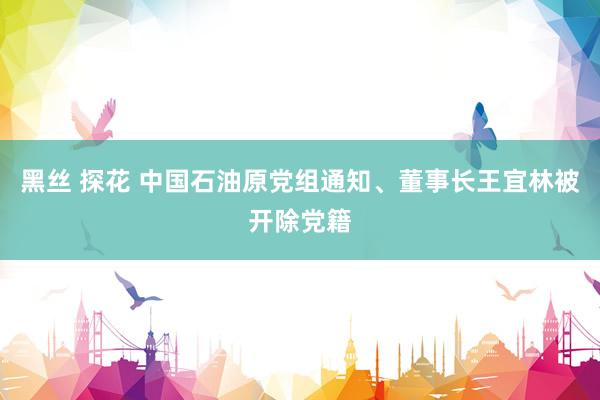 黑丝 探花 中国石油原党组通知、董事长王宜林被开除党籍