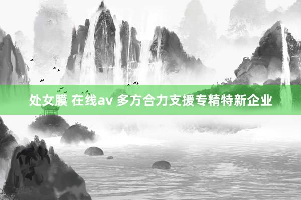 处女膜 在线av 多方合力支援专精特新企业