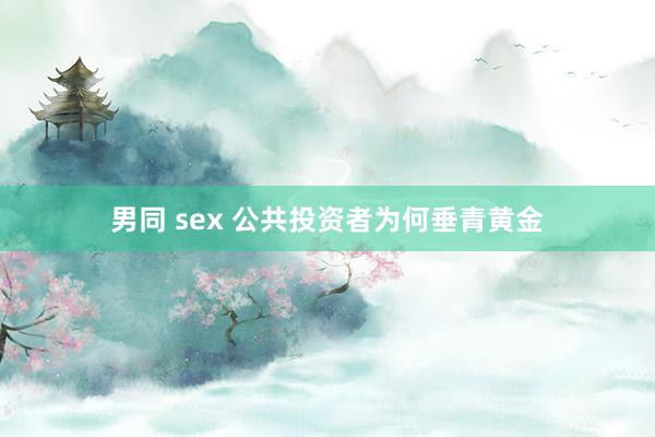 男同 sex 公共投资者为何垂青黄金