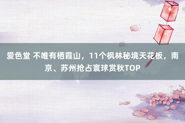 爱色堂 不唯有栖霞山，11个枫林秘境天花板，南京、苏州抢占寰球赏秋TOP