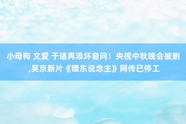 小母狗 文爱 于适再添坏音问！央视中秋晚会被删 ，吴京新片《镖东说念主》网传已停工