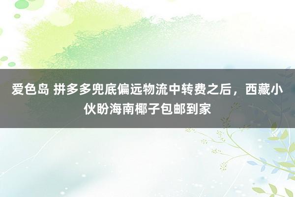 爱色岛 拼多多兜底偏远物流中转费之后，西藏小伙盼海南椰子包邮到家