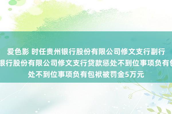 爱色影 时任贵州银行股份有限公司修文支行副行长徐智因对贵州银行股份有限公司修文支行贷款惩处不到位事项负有包袱被罚金5万元