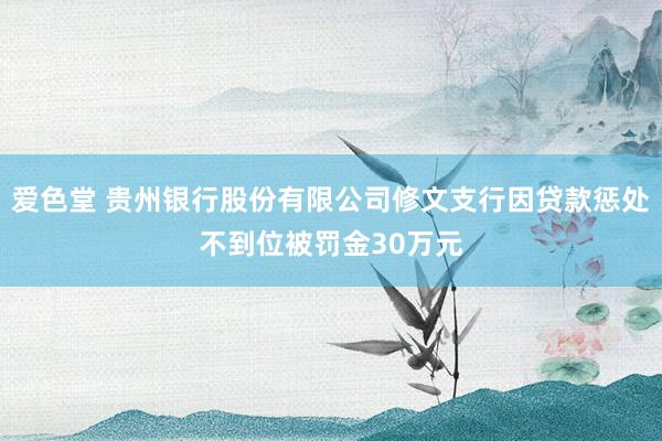 爱色堂 贵州银行股份有限公司修文支行因贷款惩处不到位被罚金30万元