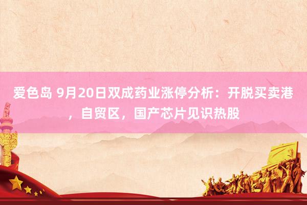 爱色岛 9月20日双成药业涨停分析：开脱买卖港，自贸区，国产芯片见识热股