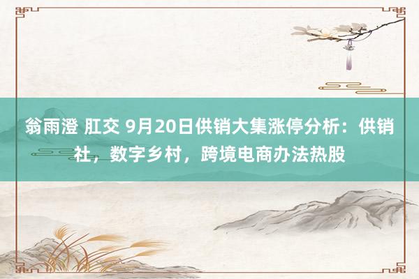 翁雨澄 肛交 9月20日供销大集涨停分析：供销社，数字乡村，跨境电商办法热股
