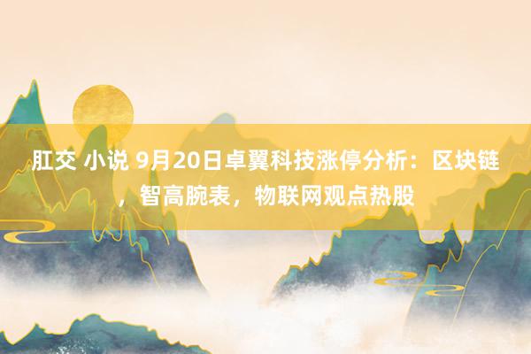 肛交 小说 9月20日卓翼科技涨停分析：区块链，智高腕表，物联网观点热股