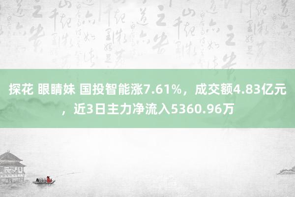 探花 眼睛妹 国投智能涨7.61%，成交额4.83亿元，近3日主力净流入5360.96万