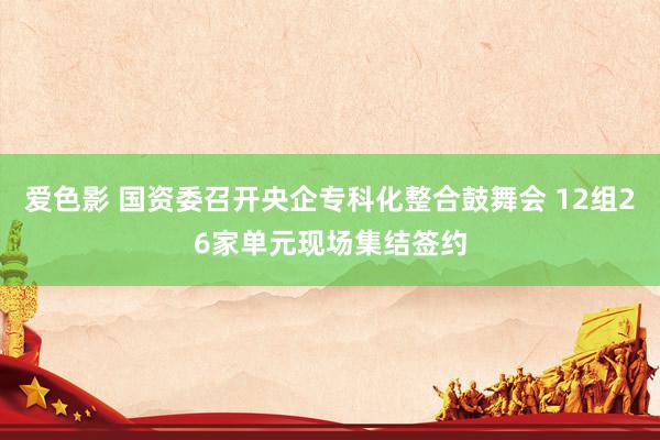 爱色影 国资委召开央企专科化整合鼓舞会 12组26家单元现场集结签约