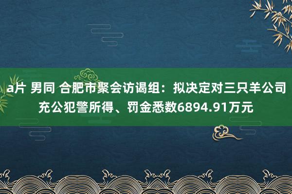 a片 男同 合肥市聚会访谒组：拟决定对三只羊公司充公犯警所得、罚金悉数6894.91万元