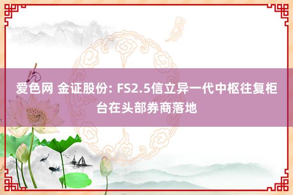 爱色网 金证股份: FS2.5信立异一代中枢往复柜台在头部券商落地