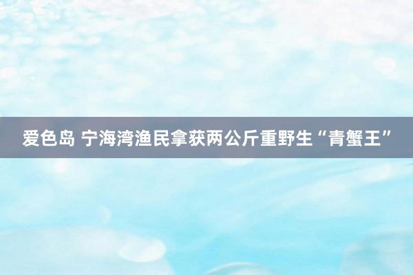 爱色岛 宁海湾渔民拿获两公斤重野生“青蟹王”
