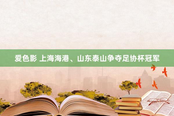 爱色影 上海海港、山东泰山争夺足协杯冠军