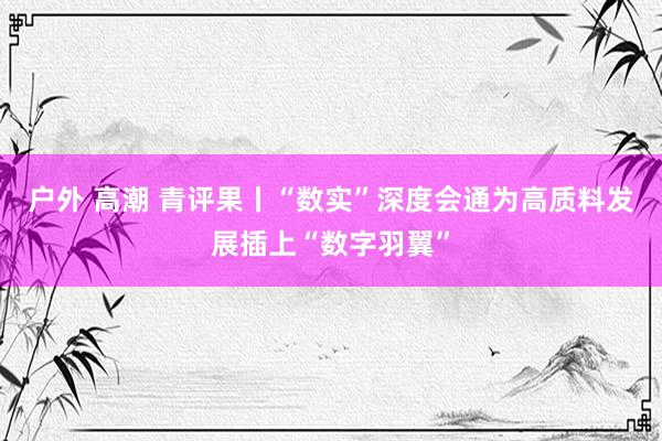 户外 高潮 青评果丨“数实”深度会通为高质料发展插上“数字羽翼”