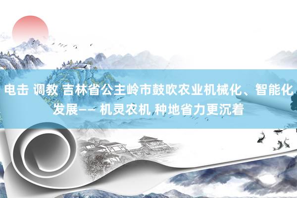 电击 调教 吉林省公主岭市鼓吹农业机械化、智能化发展—— 机灵农机 种地省力更沉着
