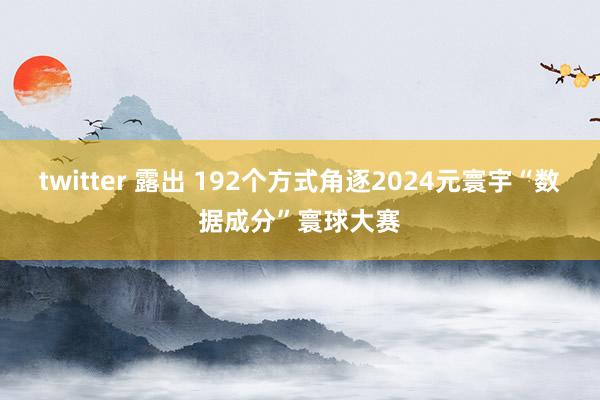 twitter 露出 192个方式角逐2024元寰宇“数据成分”寰球大赛