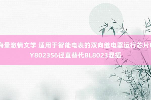 海量激情文学 适用于智能电表的双向继电器运行芯片KY8023S6径直替代BL8023混插