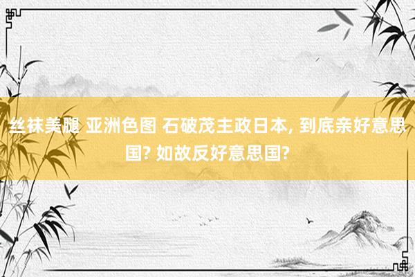 丝袜美腿 亚洲色图 石破茂主政日本， 到底亲好意思国? 如故反好意思国?