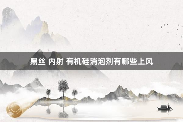 黑丝 内射 有机硅消泡剂有哪些上风