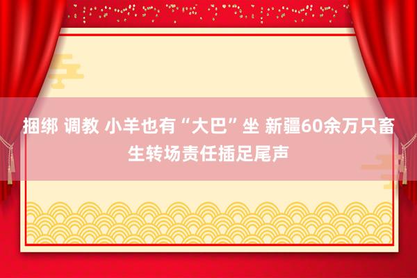 捆绑 调教 小羊也有“大巴”坐 新疆60余万只畜生转场责任插足尾声