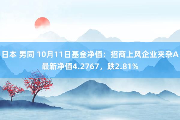 日本 男同 10月11日基金净值：招商上风企业夹杂A最新净值4.2767，跌2.81%