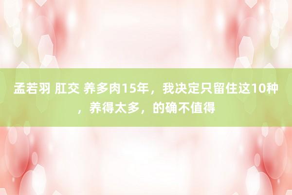 孟若羽 肛交 养多肉15年，我决定只留住这10种，养得太多，的确不值得