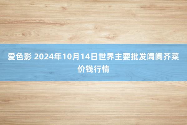 爱色影 2024年10月14日世界主要批发阛阓芥菜价钱行情