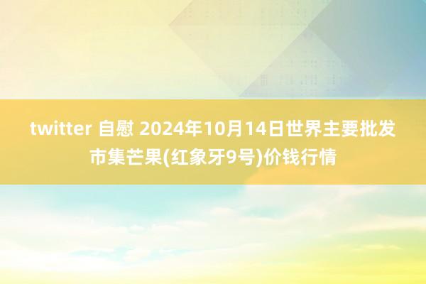 twitter 自慰 2024年10月14日世界主要批发市集芒果(红象牙9号)价钱行情
