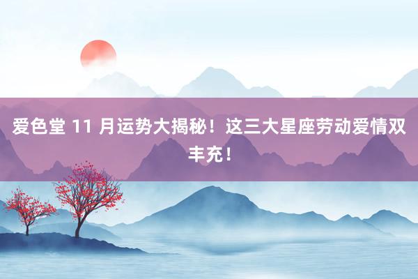 爱色堂 11 月运势大揭秘！这三大星座劳动爱情双丰充！