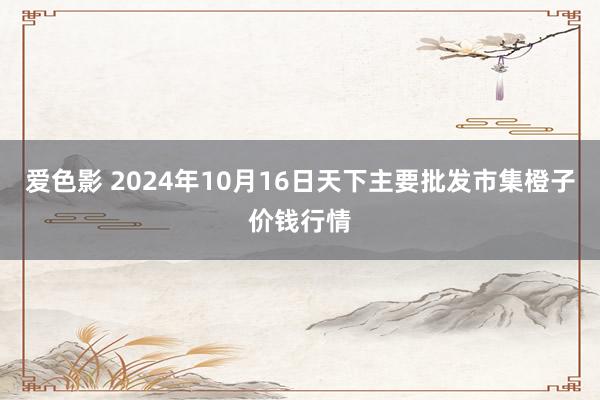 爱色影 2024年10月16日天下主要批发市集橙子价钱行情