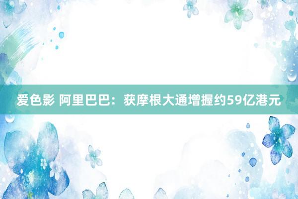 爱色影 阿里巴巴：获摩根大通增握约59亿港元