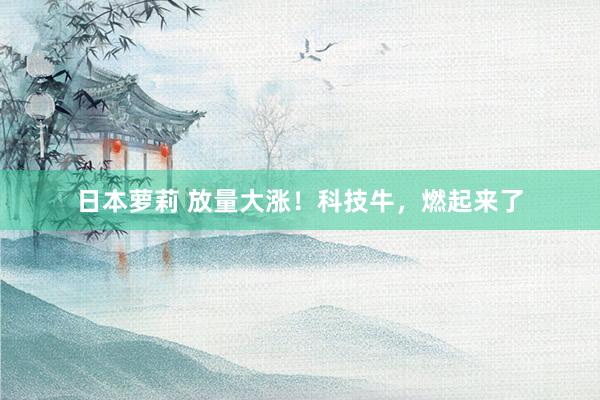 日本萝莉 放量大涨！科技牛，燃起来了