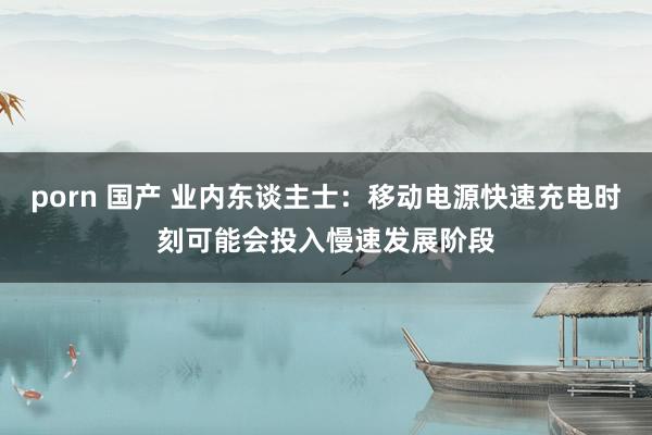 porn 国产 业内东谈主士：移动电源快速充电时刻可能会投入慢速发展阶段