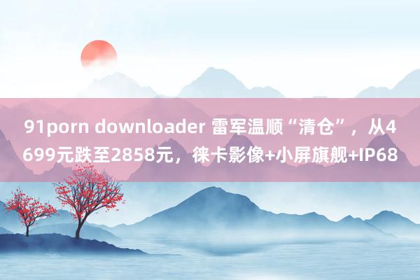 91porn downloader 雷军温顺“清仓”，从4699元跌至2858元，徕卡影像+小屏旗舰+IP68