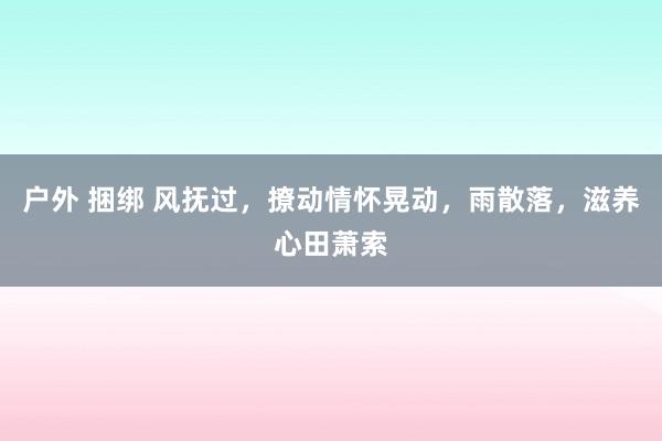 户外 捆绑 风抚过，撩动情怀晃动，雨散落，滋养心田萧索