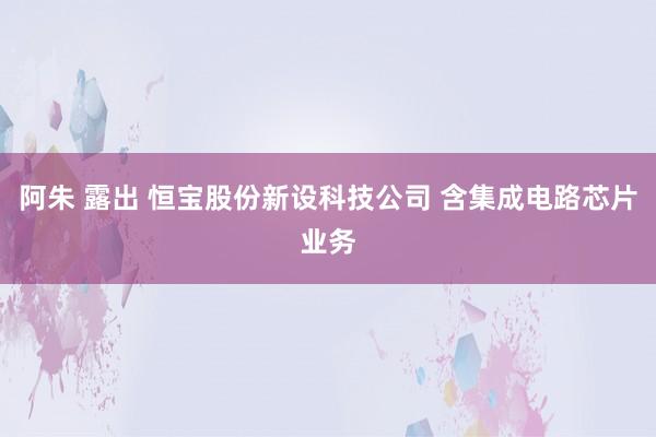 阿朱 露出 恒宝股份新设科技公司 含集成电路芯片业务