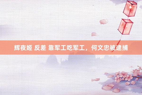 辉夜姬 反差 靠军工吃军工，何文忠被逮捕