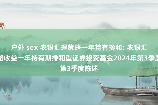 户外 sex 农银汇理策略一年持有搀和: 农银汇理策略收益一年持有期搀和型证券投资基金2024年第3季度陈述
