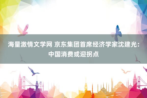 海量激情文学网 京东集团首席经济学家沈建光：中国消费或迎拐点