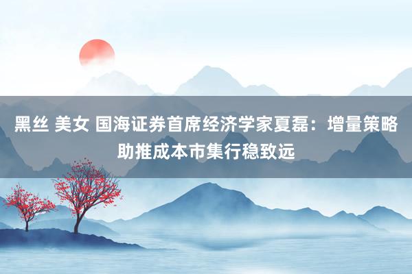 黑丝 美女 国海证券首席经济学家夏磊：增量策略助推成本市集行稳致远
