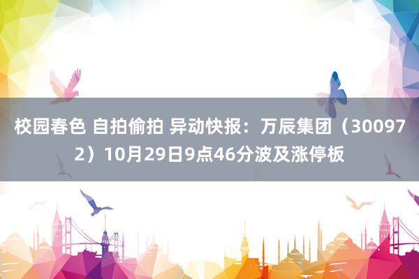 校园春色 自拍偷拍 异动快报：万辰集团（300972）10月29日9点46分波及涨停板